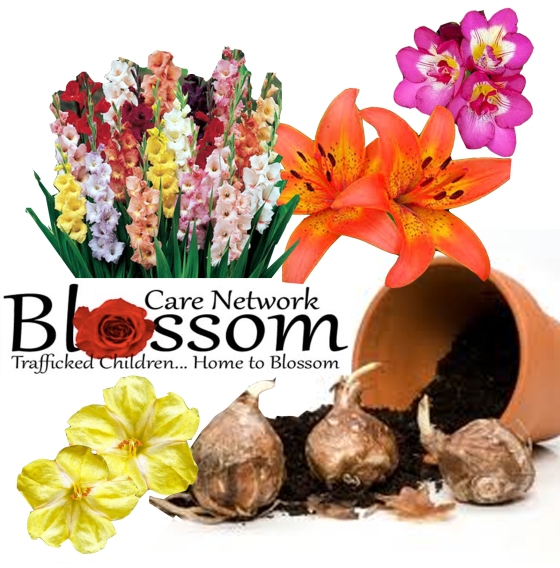 blossom care network